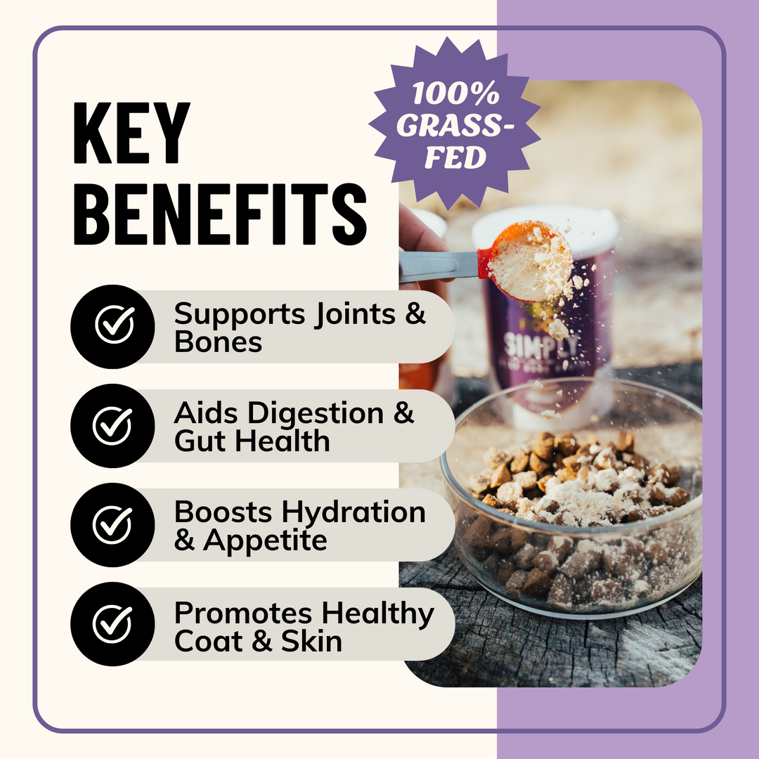 Simply Bone Broth Powder