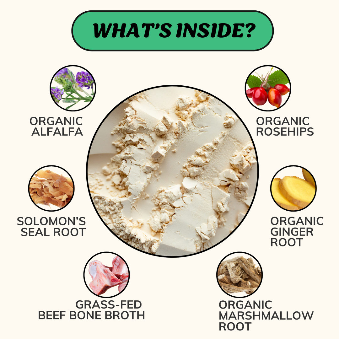Mobility Bone Broth Powder