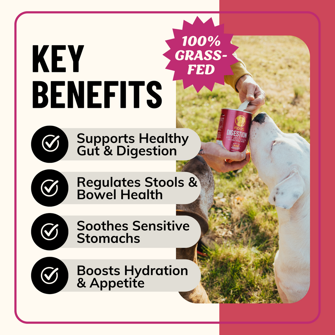 Digestion Bone Broth Powder