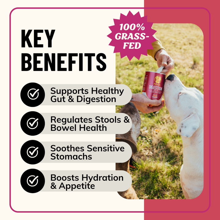 Digestion Bone Broth Powder