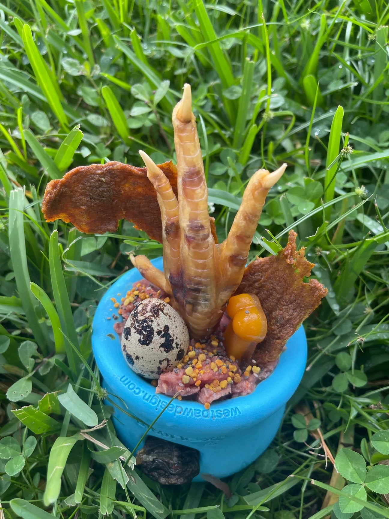 Dehydrated Chicken Feet