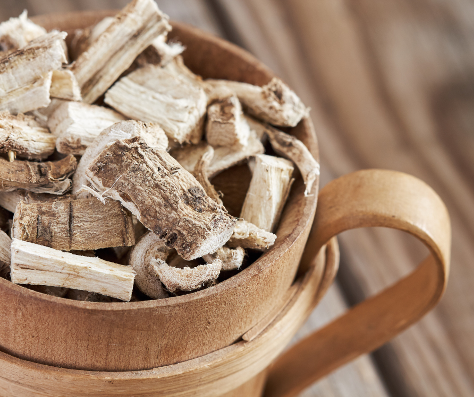 Marshmallow Root for Optimal Dog Digestion and Health