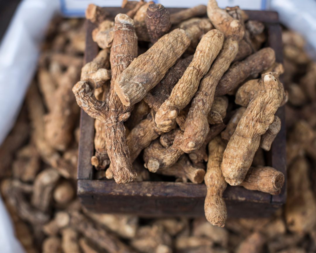 Solomon’s Seal Root: A Natural Solution for Dog Joint Health