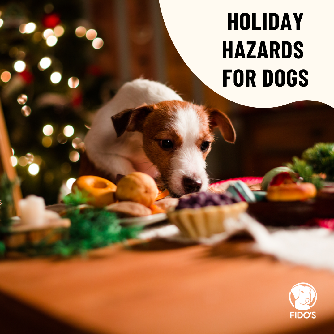 How to Enjoy the Holidays Safely with Your Dog