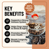 Longevity Bone Broth Powder for Dogs
