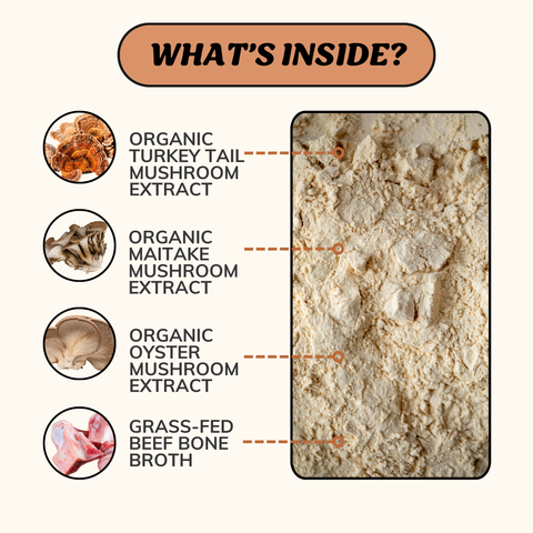 Longevity Bone Broth Powder for Dogs