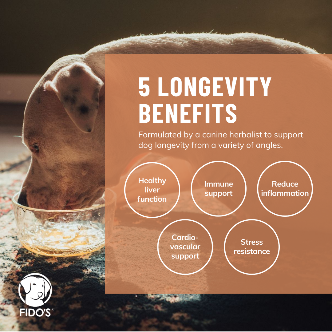 Longevity Bone Broth Powder