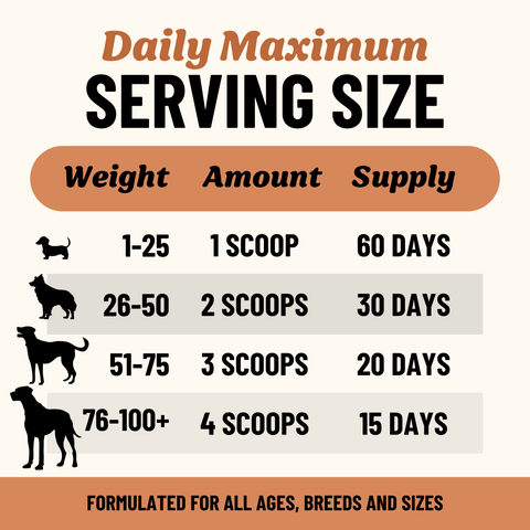 Longevity Bone Broth Powder for Dogs