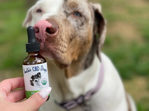 CBD Drops (500mg)