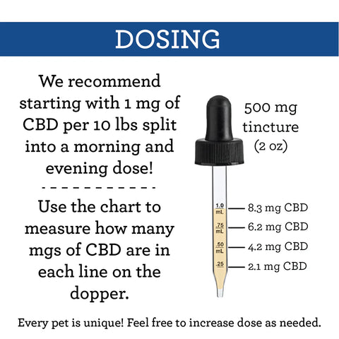 CBD Drops (500mg)