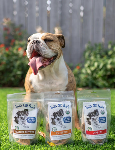 Pumpkin CBD Dog Treat Hearts (4mg)